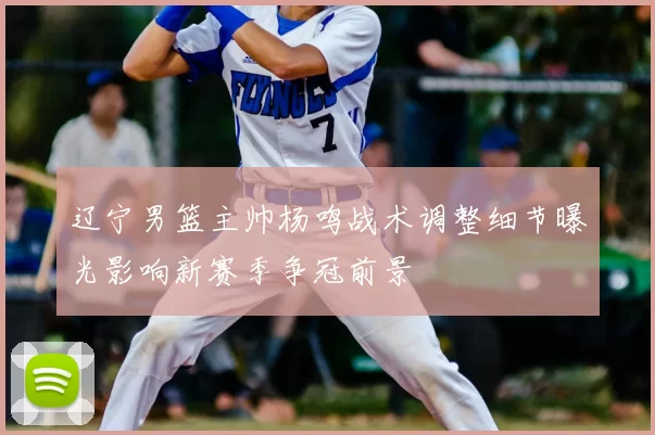 辽宁男篮主帅杨鸣战术调整细节曝光影响新赛季争冠前景